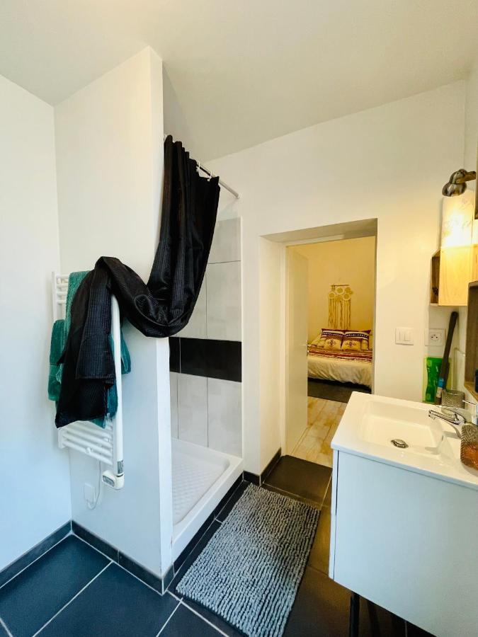 L'Appartement Du Temple A Vienne Dış mekan fotoğraf